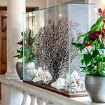 Excess Boutique & Private - Adults Only Hotel 5*